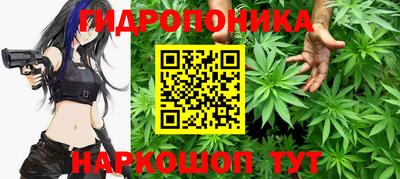 стафф Коммунар