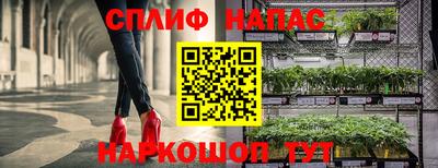 стафф Коммунар