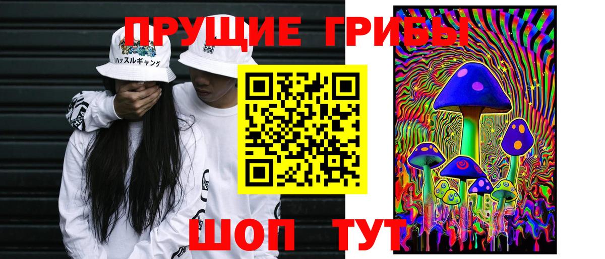 Псилоцибиновые грибы прущие грибы Звенигород