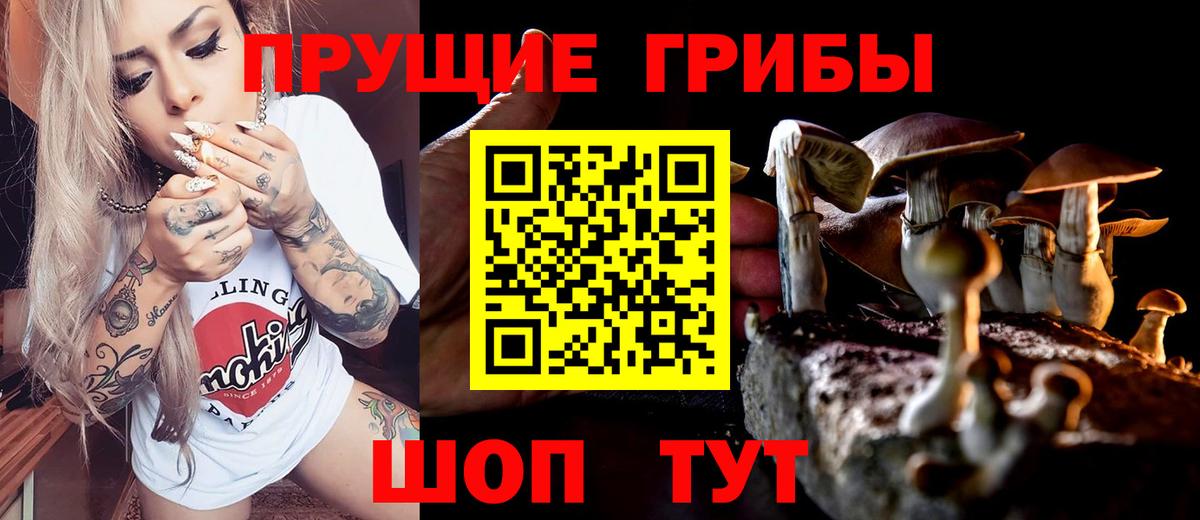 Псилоцибиновые грибы MAGIC MUSHROOMS  Вход с VPN  Звенигород 